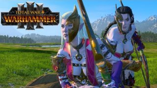 Next 5 Graphical Mods for Legendary Lords. Total War Warhammer 3